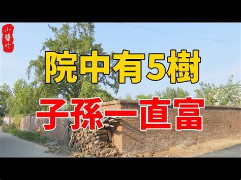 後院種樹風水|【後院種什麼樹】後院種什麼樹藏玄機？風水大師教你。